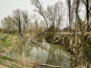 Travaux d'entretien sur le Brion