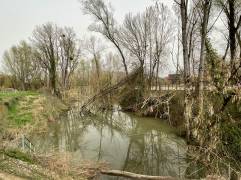 Travaux d'entretien sur le Brion